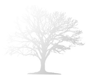 Logos FINAL_Roberts Consulting _TREE3